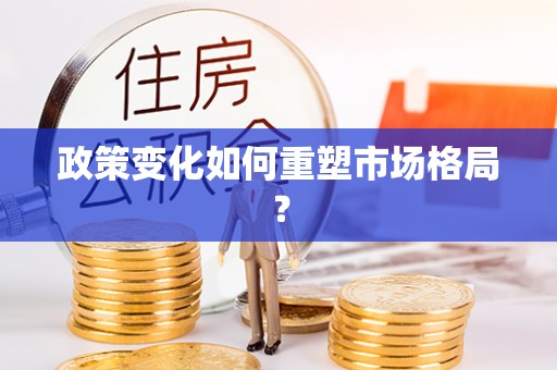 集贤政策变化如何重塑市场格局？